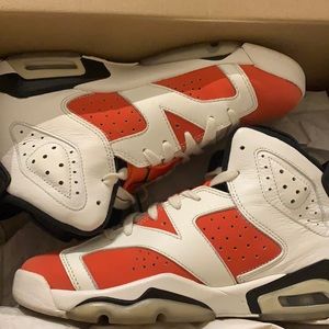 Jordan Gatorade 6